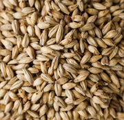โลคัลเลอร์ มาริสออตเตอร์มอลต์ ทำเบียร์ โฮมบริว homebrew low colour maris otter malt